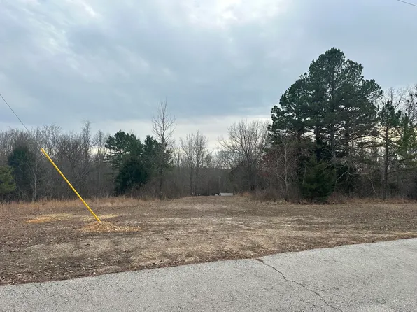 000 County Road 306, Van Buren, MO 63965