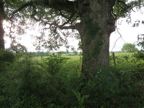 5th image of 355 County Road 3204