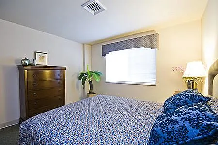 Catalina Apartments — Photo 7