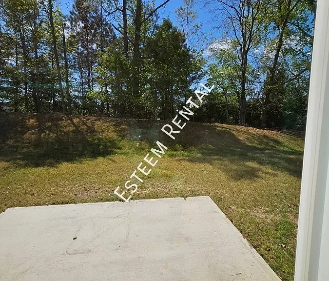 520 Citrus Petal Rd — Photo 25