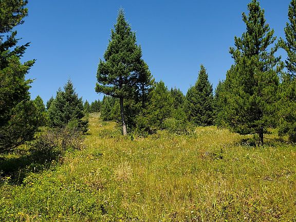 4th image of No Known 2 Bear Springs Rd