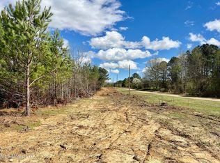 Stout Rd LOT 51, Canton, MS 39046