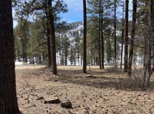 31 E Forest Lakes Dr, Bayfield, CO 81122