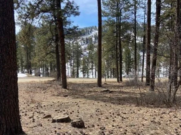 31 E Forest Lakes Drive, Bayfield, CO 81122