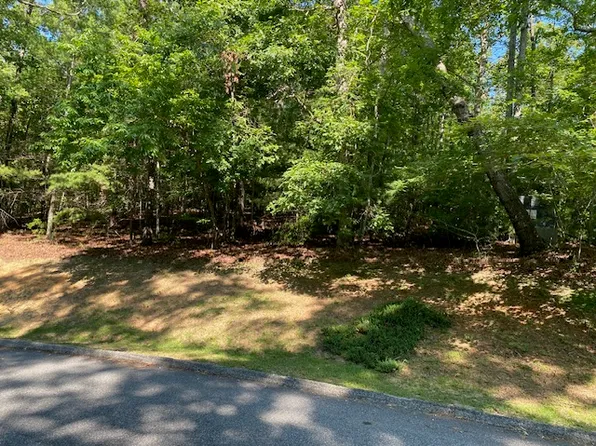 41 Turtlehead Dr, Salem, SC 29676