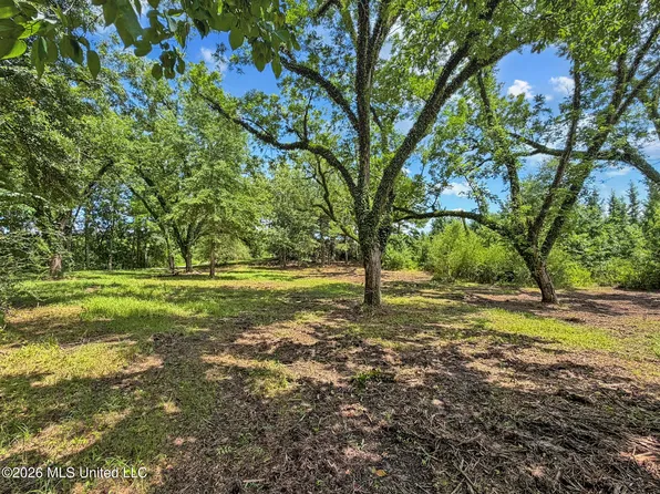 County Road 13, Louin, MS 39338