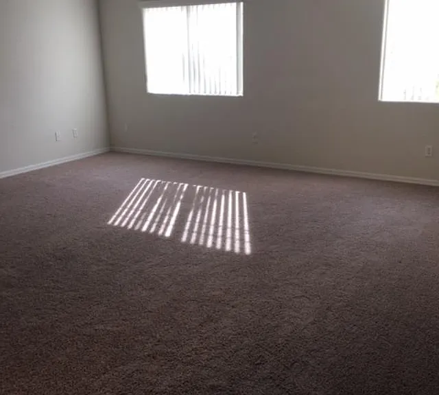 343 Hollins Hall St — Photo 18