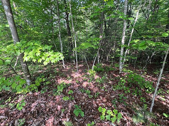 5th image of 9 Acre Leonard Ln