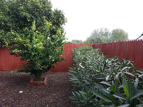 2nd image of 2607 E Morrow Dr