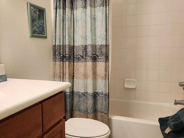 7575 E Indian Bend Rd #1029 — Photo 19