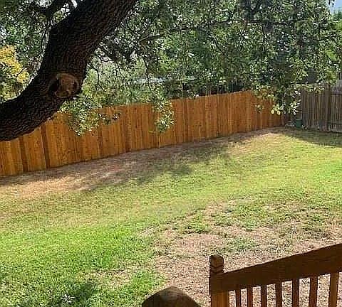 Backyard