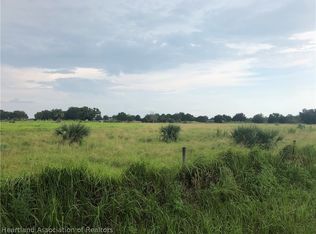 Johns Rd, Wauchula, FL 33873
