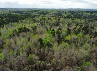 3 County Highway 42, Guin, AL 35563