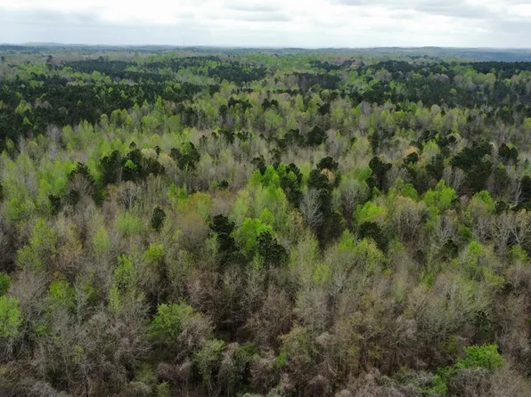 3 County Highway 42, Guin, AL 35563