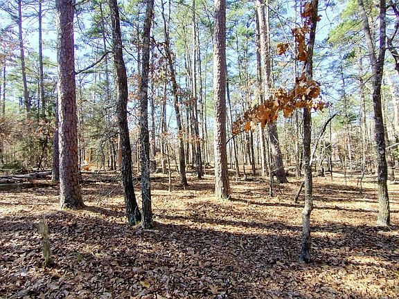 4th image of (Undisclosed Address)