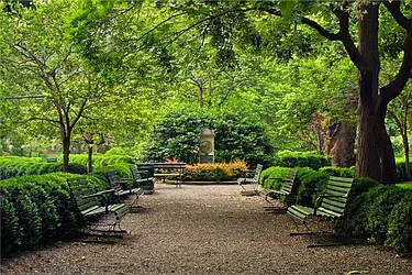 Rented by Maison International