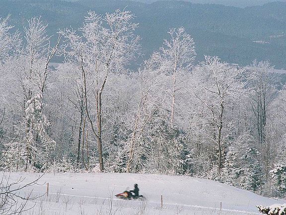 Snowmobiler at back of property on VAST Trail spur