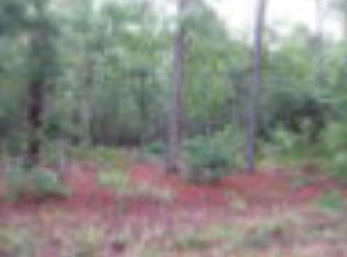 2 Foxfire Ln, Wedgefield, SC 29168