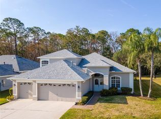 12545 Leatherleaf Dr, Tampa, FL 33626
