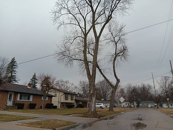 4th image of 2241 Marshall Ct