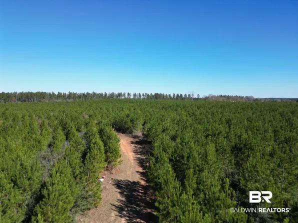 LOT 5 Robinsonville Rd, Atmore, AL 36502