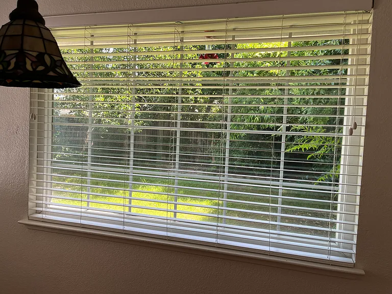 9353 Aizenberg Cir — Photo 7