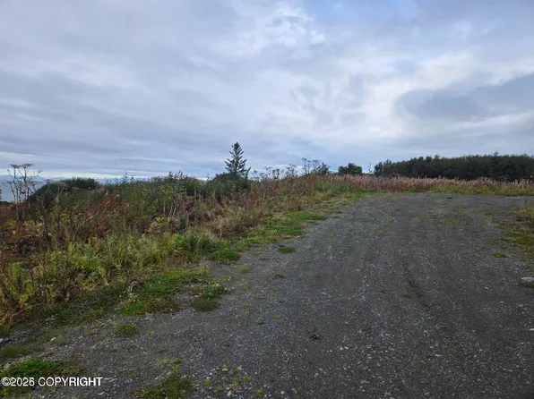 L7 Danver St, Anchor Pt, AK 99556