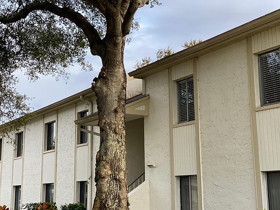 4th image of 104 Palmetto Ct #4