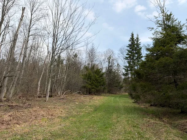 Vl West Hill Rd Lot Wp001, Gerry, NY 14740