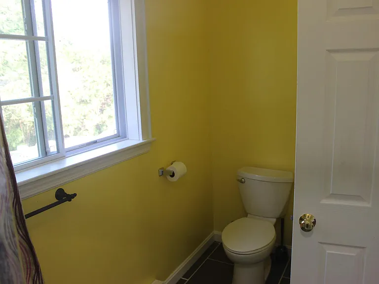 Master Bathroom - Toilet (Standard size window)