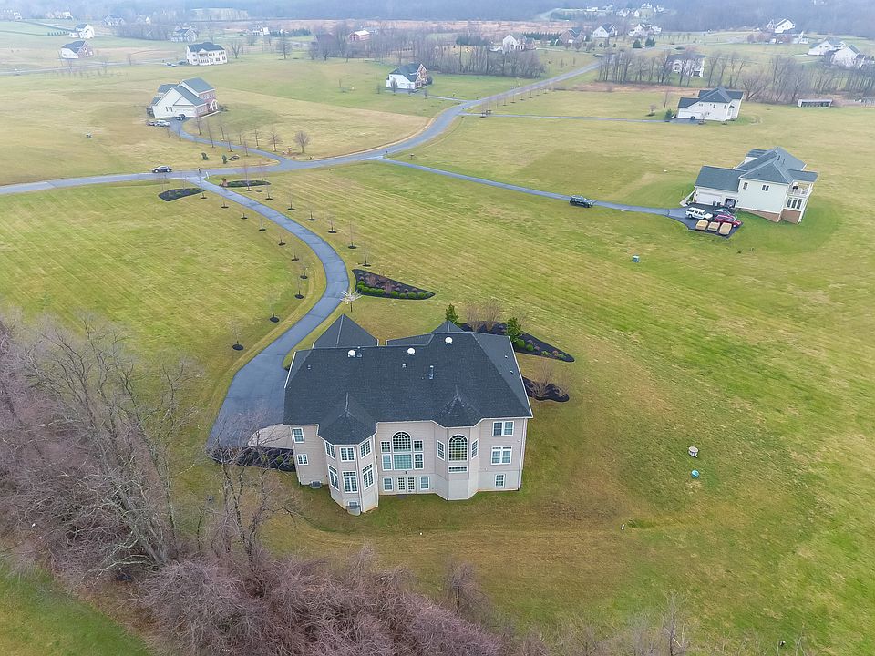 Tall maple trees on driveway