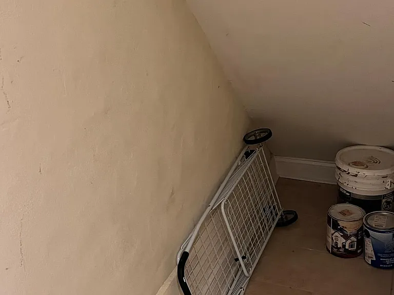 Storage space under stairs.