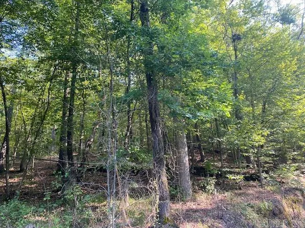 (undisclosed Address), Hot Springs National Park, AR 71901