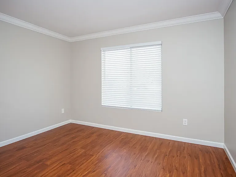 718 Saratoga Springs St — Photo 13