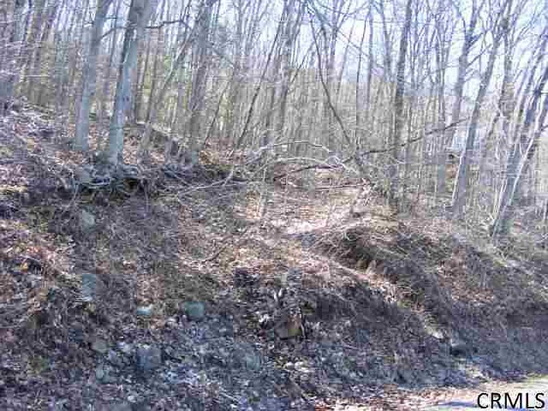 3rd image of S SHORE Road
