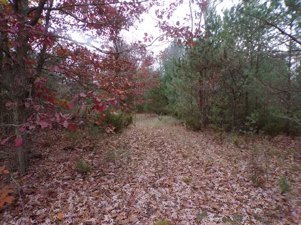 1961 W Hoague Rd, Manistee, MI 49660
