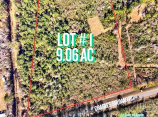 Lot 1 Charles Shuman Road, Pembroke, GA 31321