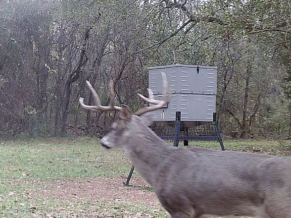2nd image of County Road 1307