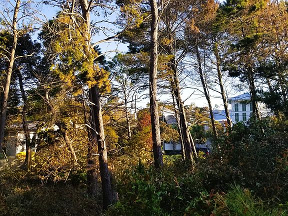 5th image of LOT 21 Crescent Rd #C