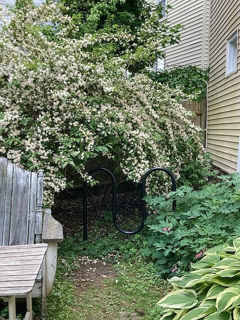 Garden area