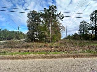 31714 Pea Ridge Rd, Albany, LA 70711