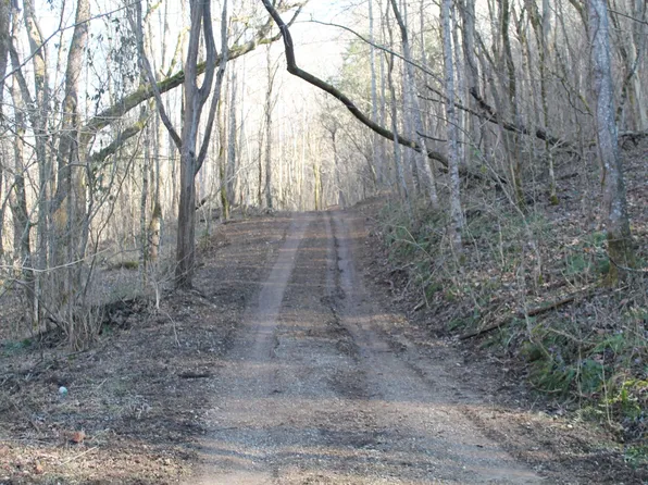 0 Williford Ln, Gainesboro, TN 38562