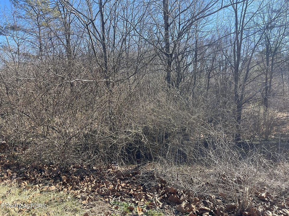 1st image of Livesay St