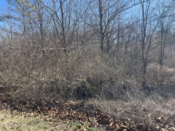 Livesay St, Crossville, TN 38555