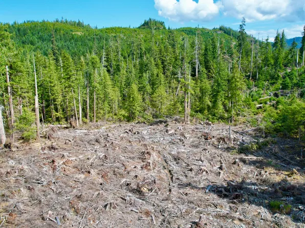 L2 Steep Rd, Thorne Bay, AK 99919