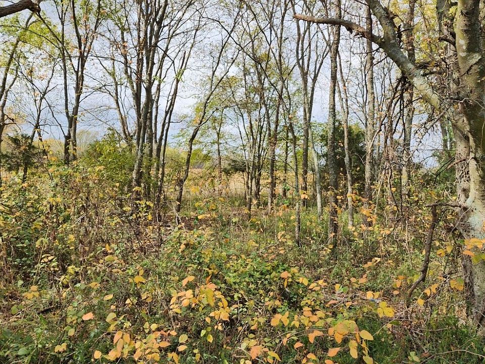2nd image of LOT Chapel Rd