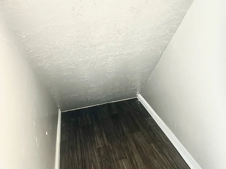 storage closet under the stairs.
