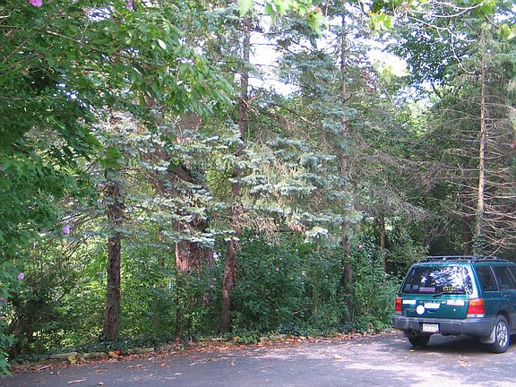 backyard view of ravine