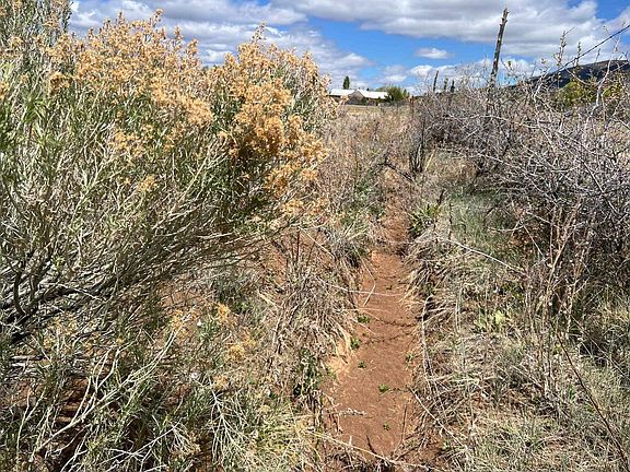 4th image of 45 Las Animas Rd
