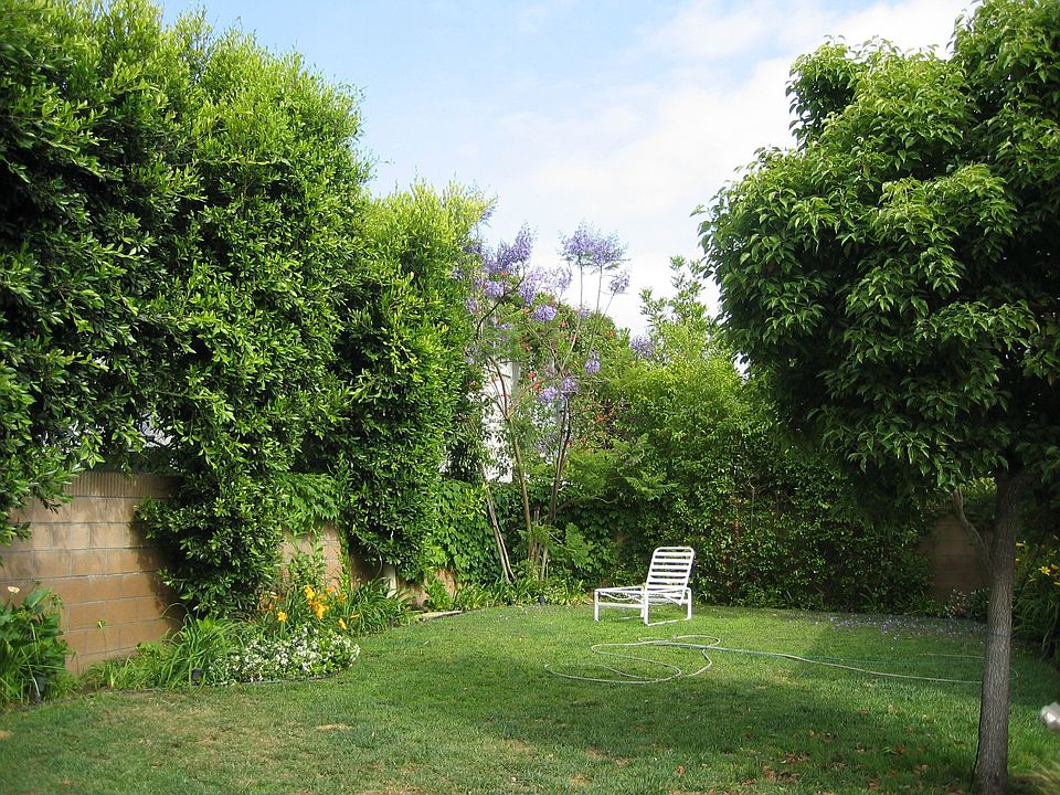 Beautiful and large yard